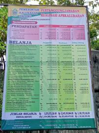 Laporan Pertanggungjawaban Realisasi Anggaran Pendapatan dan Belanja Kalurahan Tahun 2024